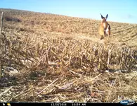 003.webp 003.webp