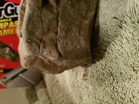 20180905_054407.webp