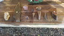 20190124_164508.webp