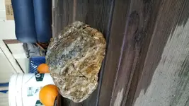 20190124_165324.webp