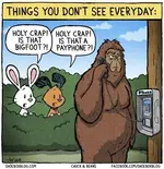 Bigfoot.webp