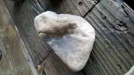 20190124_165732.webp