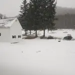20181115_161249.webp
