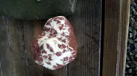 20190124_170155.webp