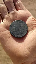 dollar3.webp