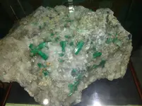 P1020771.webp