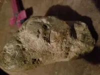 20181208_082638.webp