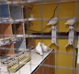 20181208_112311.webp