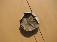 axe compass 001.webp