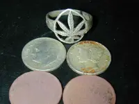 DSCN0268.webp