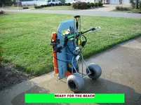 BEACHCART1.webp