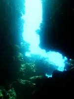 fiji dive.webp