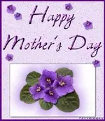 MDcard2 (2).webp