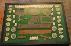 tray5.webp