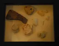 tray6.webp