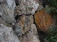 Mvc-117e.webp