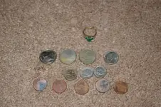 IMGP1308.webp