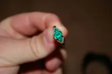 IMGP1309.webp