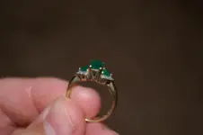 IMGP1310.webp