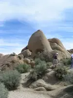 homerrock2.webp