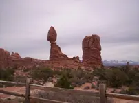 100_9792.webp