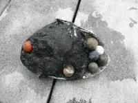 May 2008 004small.webp