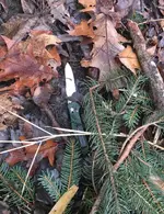 RFshlbytwpKnifeClose12-26-18.webp