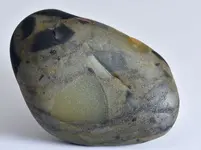 green conglomerate.webp