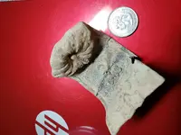 20190105_183306.webp