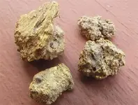 Gold 1.webp