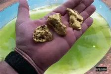 Gold 3.webp
