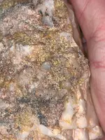 ImageUploadedByTreasureNet.com1547463856.109041.webp