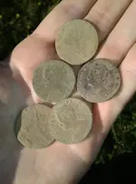 coins.webp