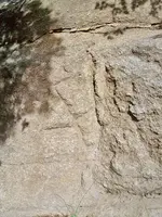 100_5430 (1).webp