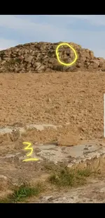20181227_145756.webp