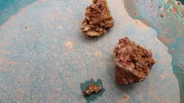 20180419_144538.webp