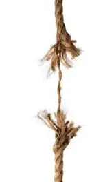 Hanging By A Thread.webp
