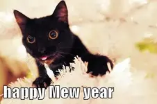 mew year.webp mew year.webp