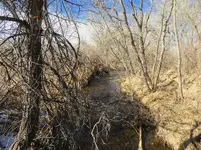 walk 020219 4.webp