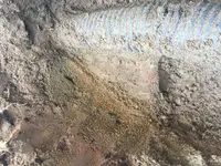 B49C1630-92D1-4E37-9E18-7CE449EB5668.webp