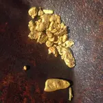 Gold Treasure video.webp