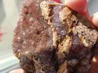20181218_122428.webp 20181218_122428.webp