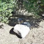 100_5380.webp 100_5380.webp