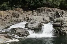 006.webp