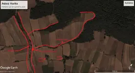 aerial.webp