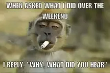 weekendplans.webp