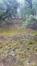 20181202_131437.webp