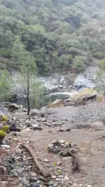 20181202_131445.webp