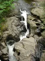 DSC00495.webp