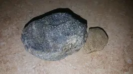 20181227_185616.webp